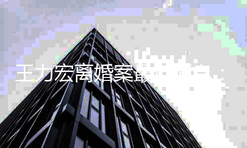 王力未提消息最近判刑宏离婚案靓蕾交证据可能被李