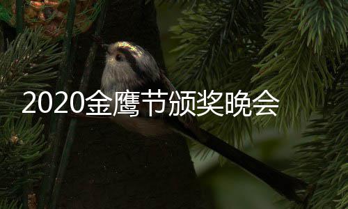 点开播在 颁播几会直金鹰节颁奖晚奖典哪看礼直始